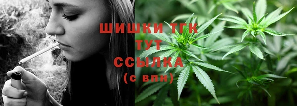 крисы Абаза