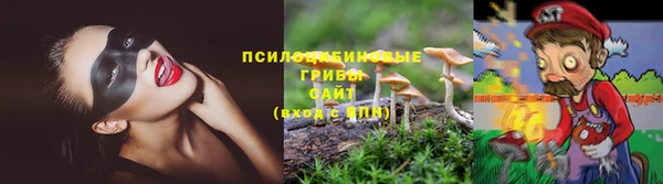 крисы Абаза
