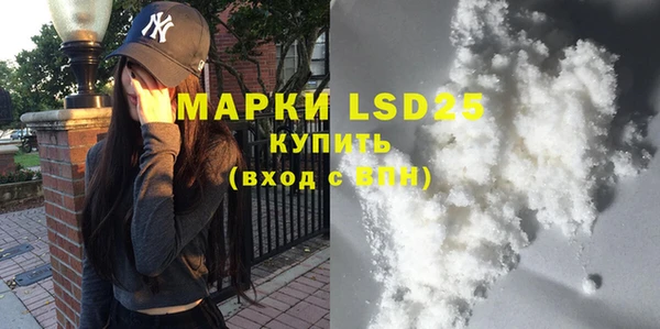 индика Алзамай